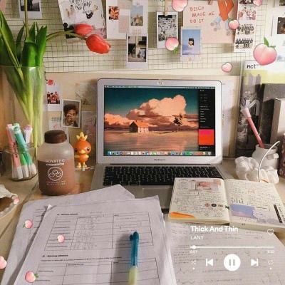 正规的大小单双平台网址